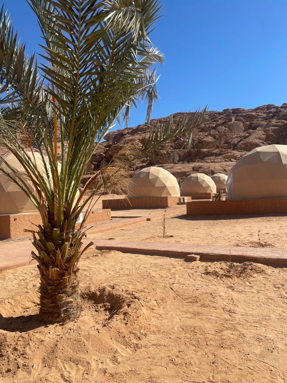 Wadi Rum Aviva Camp ภายนอก รูปภาพ