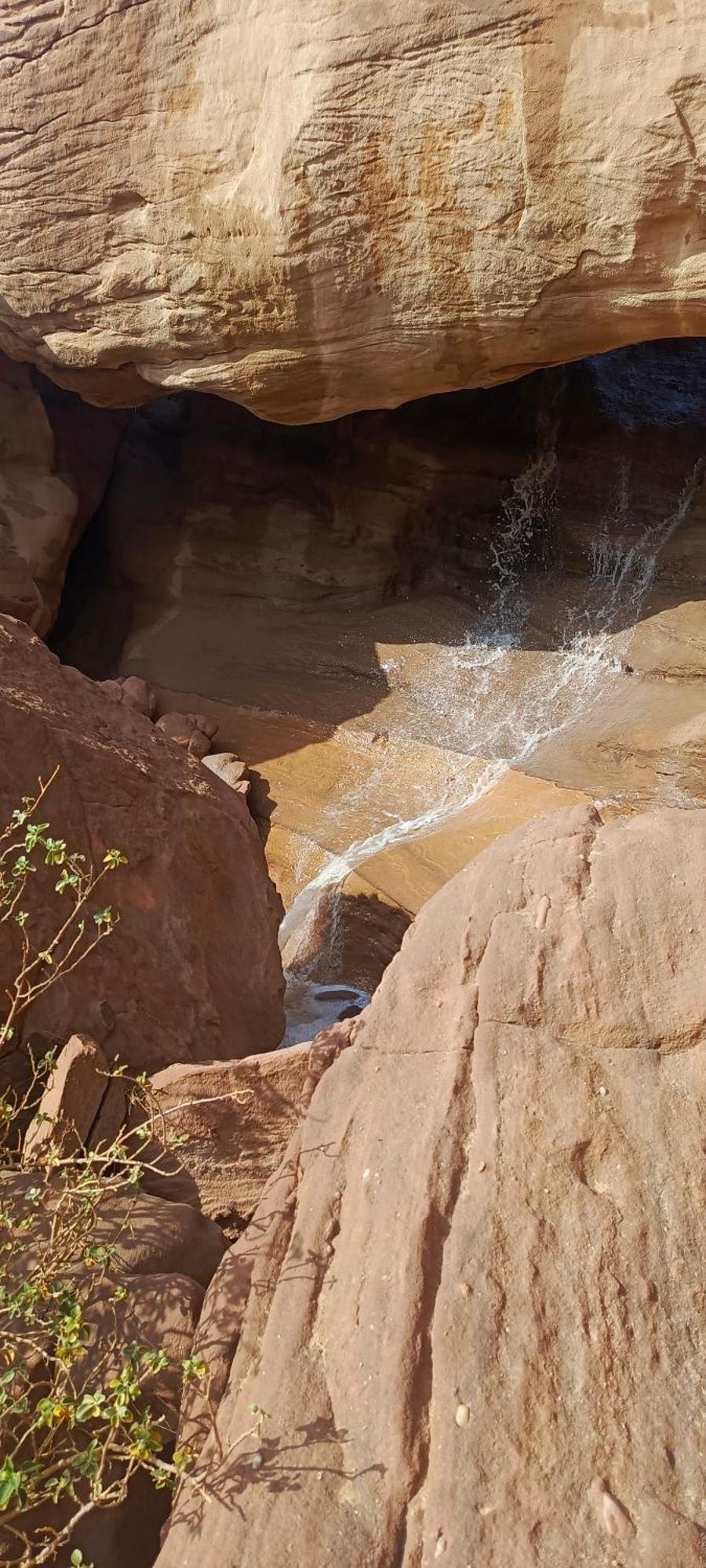 Wadi Rum Aviva Camp ภายนอก รูปภาพ